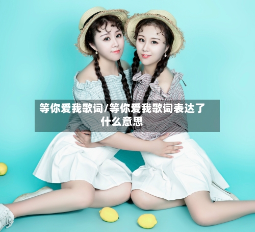 等你爱我歌词/等你爱我歌词表达了什么意思