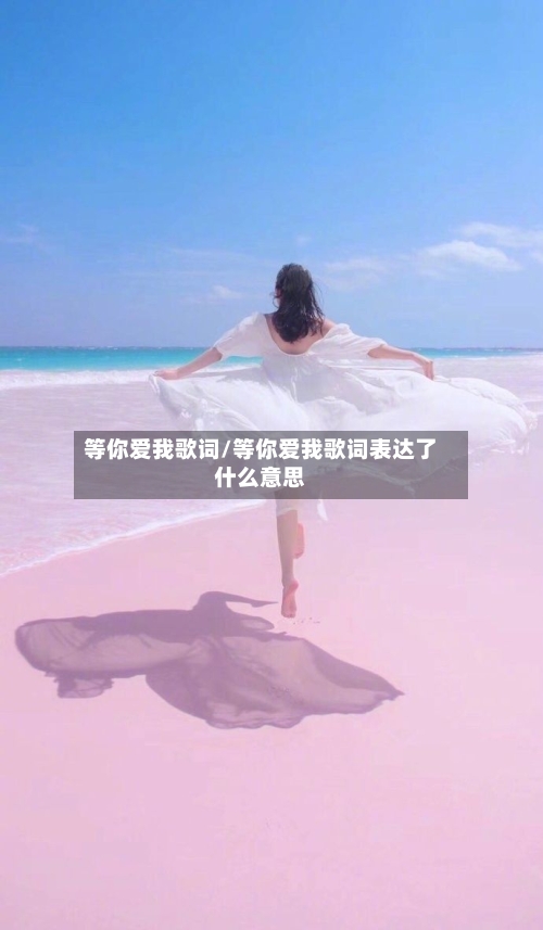 等你爱我歌词/等你爱我歌词表达了什么意思-第3张图片