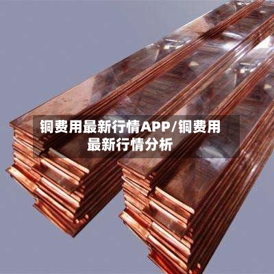 铜费用最新行情APP/铜费用最新行情分析