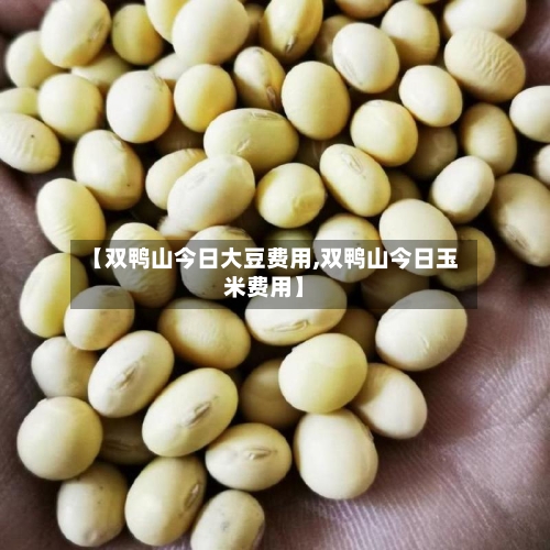 【双鸭山今日大豆费用,双鸭山今日玉米费用】