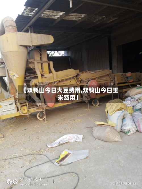 【双鸭山今日大豆费用,双鸭山今日玉米费用】-第2张图片