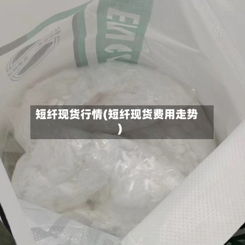短纤现货行情(短纤现货费用走势)-第2张图片