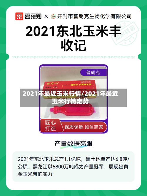 2021年最近玉米行情/2021年最近玉米行情走势