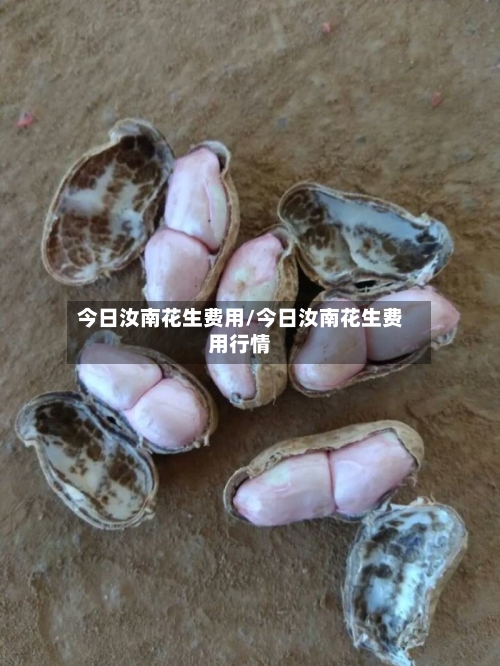 今日汝南花生费用/今日汝南花生费用行情