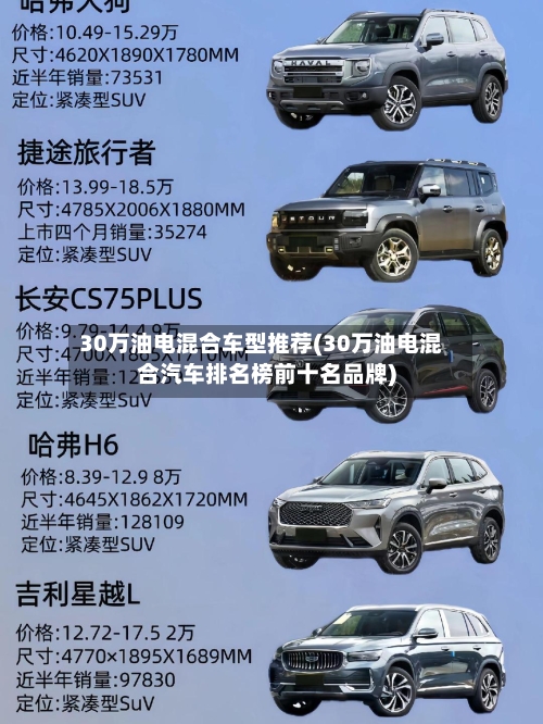30万油电混合车型推荐(30万油电混合汽车排名榜前十名品牌)