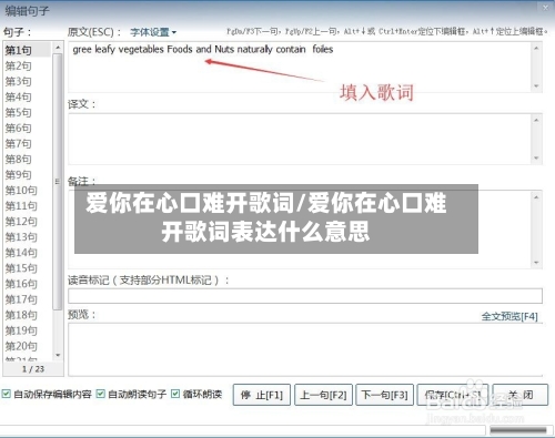 爱你在心口难开歌词/爱你在心口难开歌词表达什么意思
