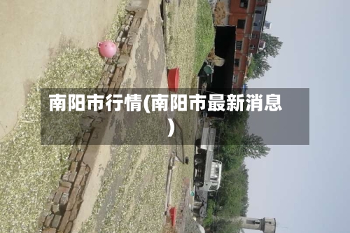 南阳市行情(南阳市最新消息)-第2张图片