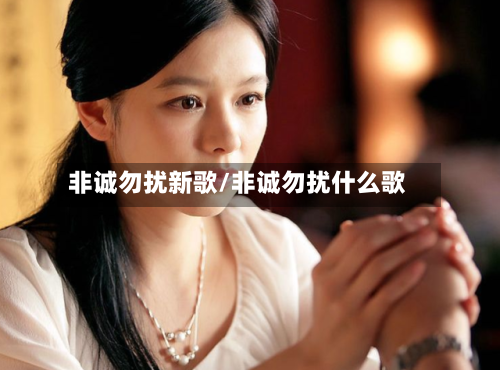 非诚勿扰新歌/非诚勿扰什么歌