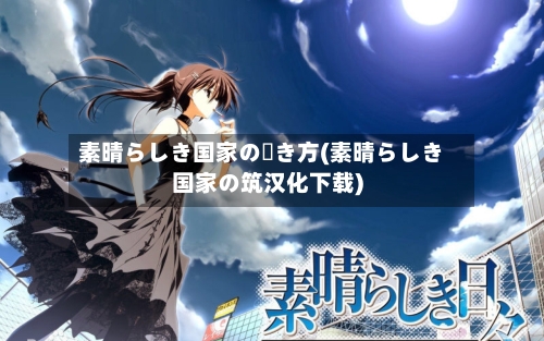 素晴らしき国家の築き方(素晴らしき国家の筑汉化下载)