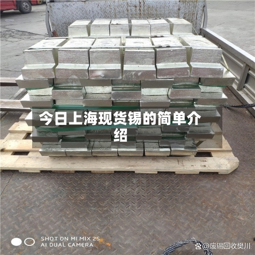 今日上海现货锡的简单介绍