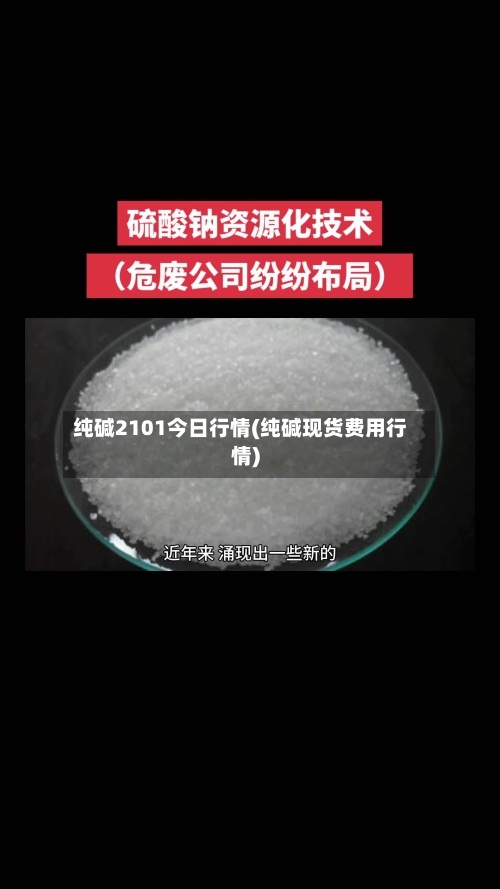 纯碱2101今日行情(纯碱现货费用行情)
