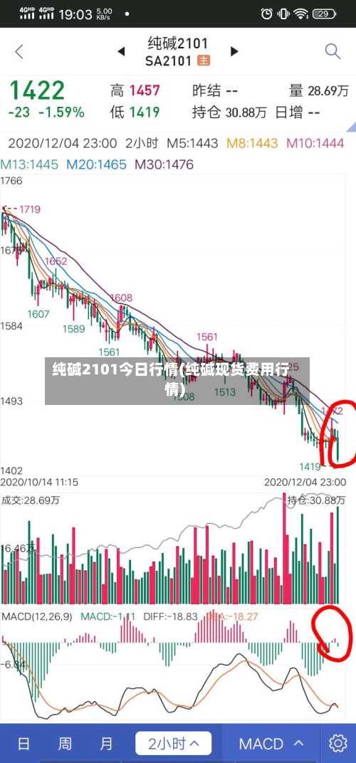 纯碱2101今日行情(纯碱现货费用行情)-第3张图片