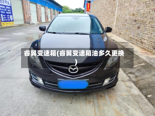 睿翼变速箱(睿翼变速箱油多久更换)