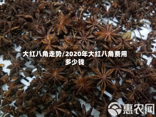 大红八角走势/2020年大红八角费用多少钱