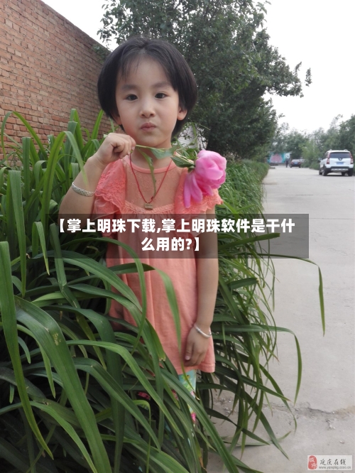 【掌上明珠下载,掌上明珠软件是干什么用的?】