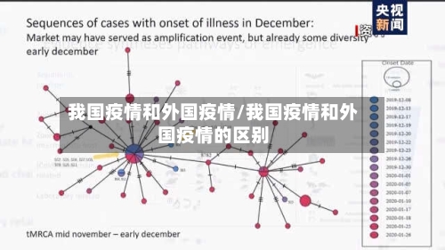 我国疫情和外国疫情/我国疫情和外国疫情的区别-第3张图片