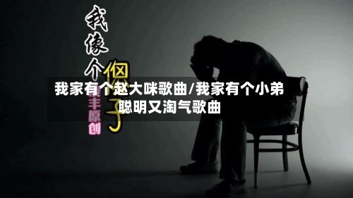我家有个赵大咪歌曲/我家有个小弟聪明又淘气歌曲