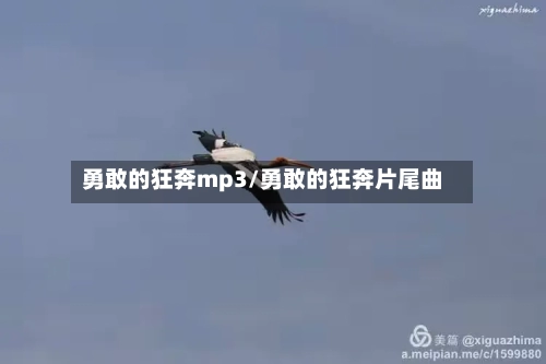 勇敢的狂奔mp3/勇敢的狂奔片尾曲-第3张图片