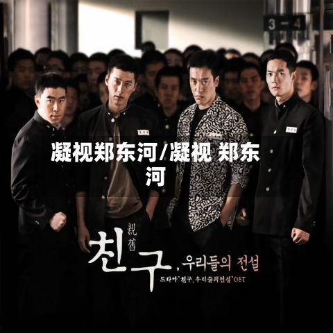 凝视郑东河/凝视 郑东河