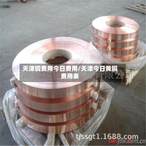 天津铜费用今日费用/天津今日黄铜费用表