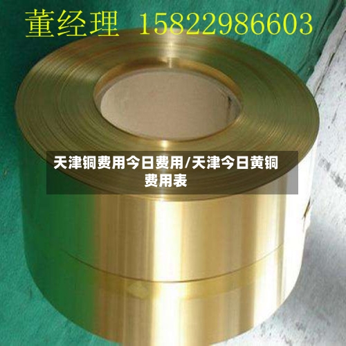 天津铜费用今日费用/天津今日黄铜费用表-第3张图片