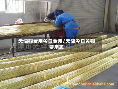 天津铜费用今日费用/天津今日黄铜费用表-第2张图片