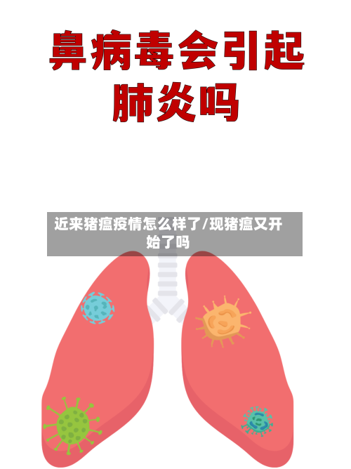 近来猪瘟疫情怎么样了/现猪瘟又开始了吗