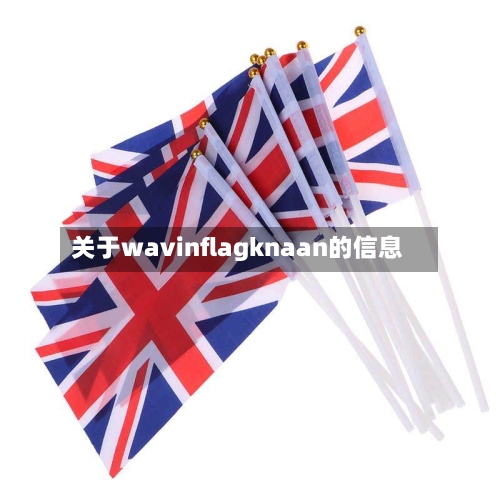关于wavinflagknaan的信息