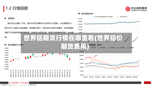 世界铝期货行情在哪里看(世界铝价期货费用)-第3张图片