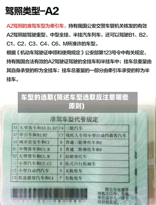 车型的选取(简述车型选取应注意哪些原则)
