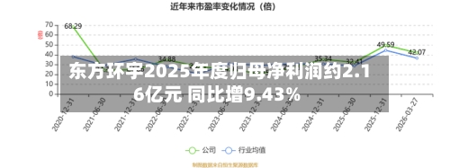 东方环宇2025年度归母净利润约2.16亿元 同比增9.43%