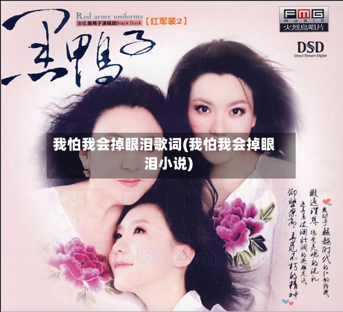 我怕我会掉眼泪歌词(我怕我会掉眼泪小说)