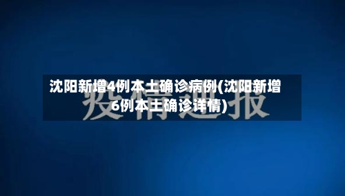 沈阳新增4例本土确诊病例(沈阳新增6例本土确诊详情)-第2张图片