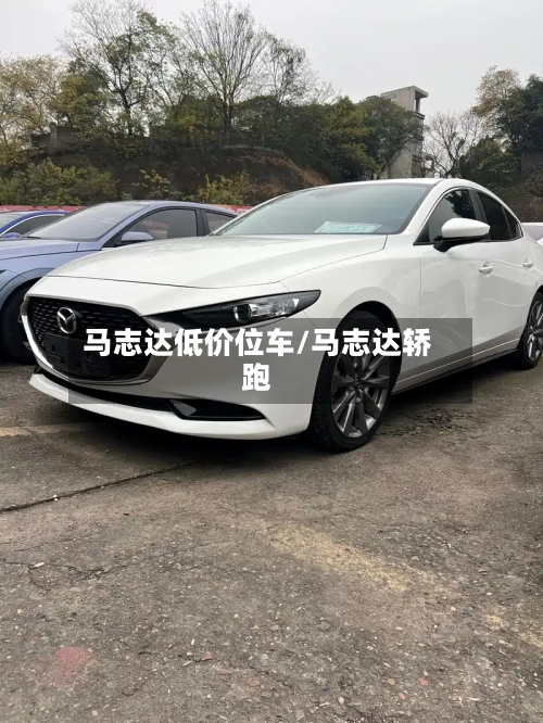 马志达低价位车/马志达轿跑-第2张图片