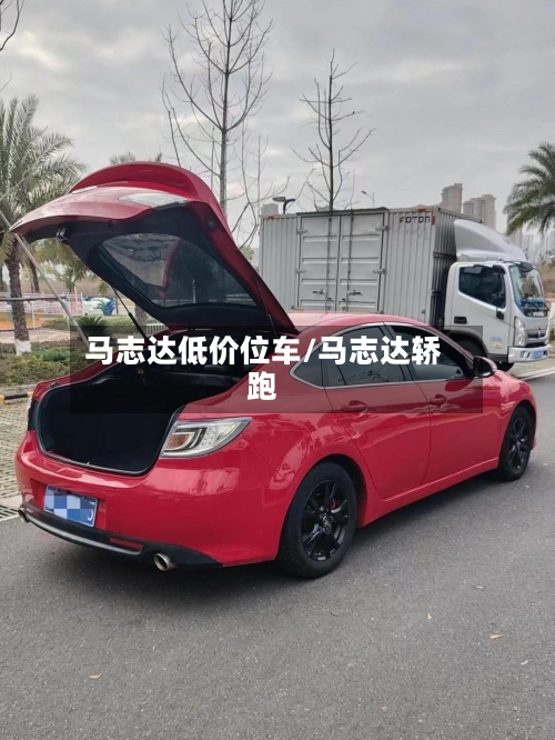 马志达低价位车/马志达轿跑