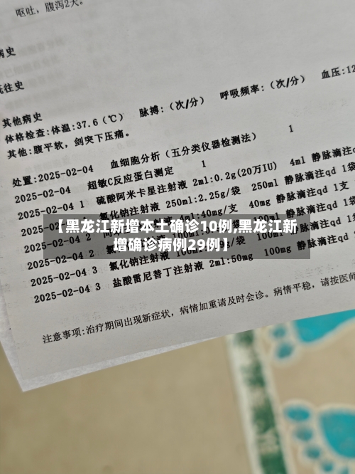 【黑龙江新增本土确诊10例,黑龙江新增确诊病例29例】