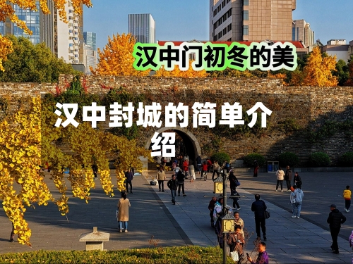 汉中封城的简单介绍