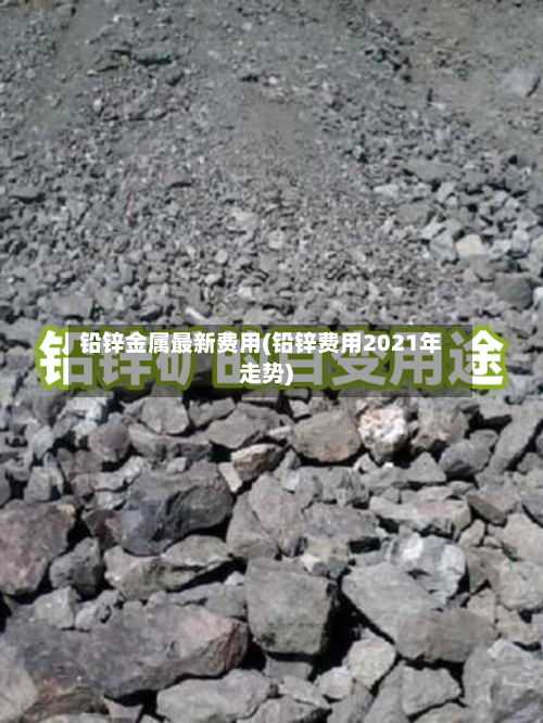 铅锌金属最新费用(铅锌费用2021年走势)