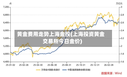 黄金费用走势上海金投(上海投资黄金交易所今日金价)