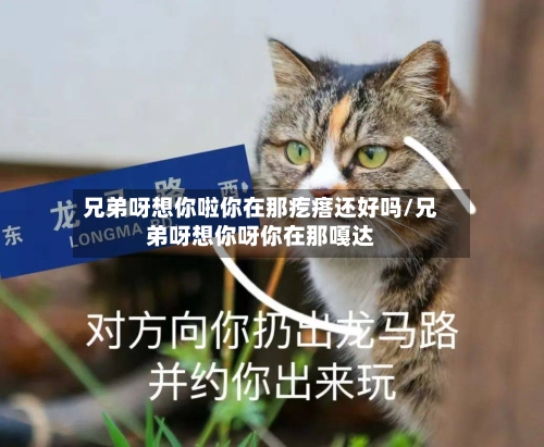 兄弟呀想你啦你在那疙瘩还好吗/兄弟呀想你呀你在那嘎达