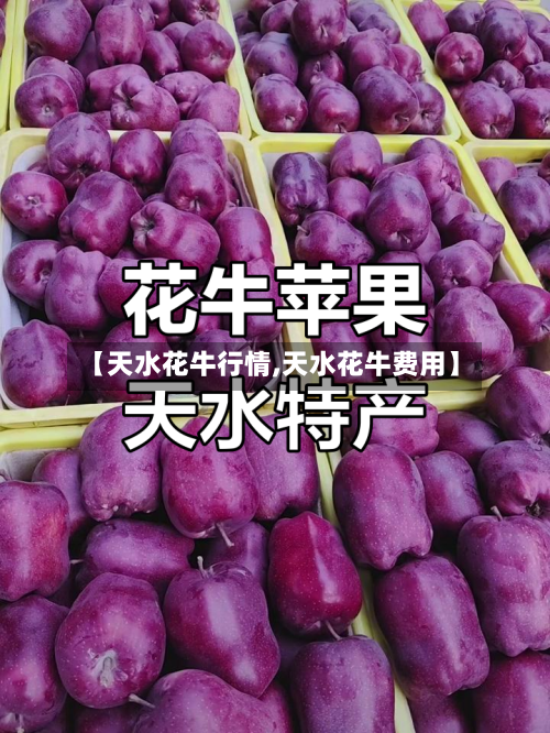 【天水花牛行情,天水花牛费用】