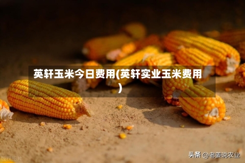 英轩玉米今日费用(英轩实业玉米费用)