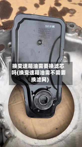 换变速箱油需要换滤芯吗(换变速箱油需不需要换滤网)