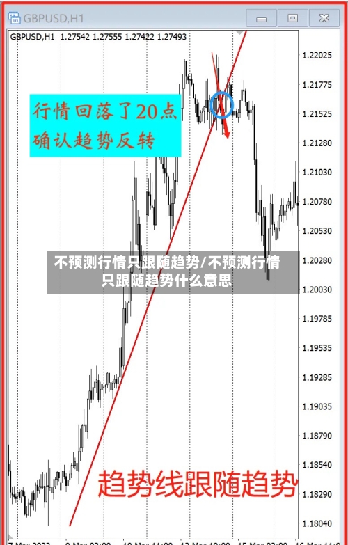 不预测行情只跟随趋势/不预测行情只跟随趋势什么意思