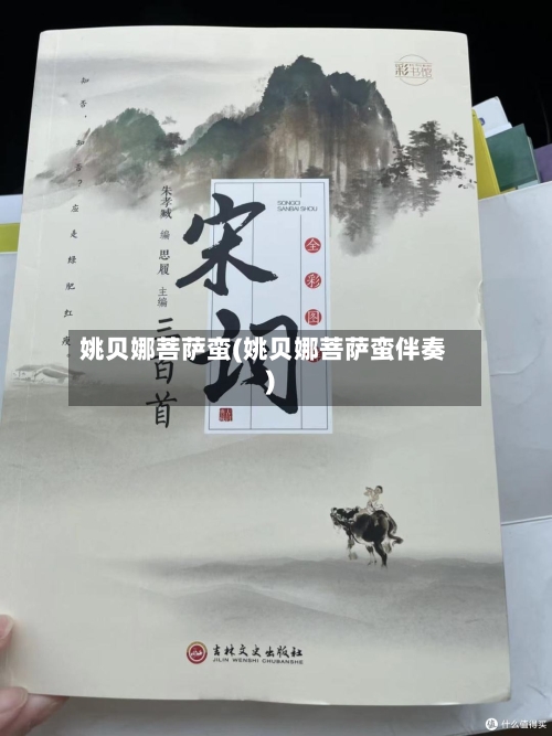 姚贝娜菩萨蛮(姚贝娜菩萨蛮伴奏)-第3张图片