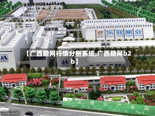 【广西糖网行情分析系统,广西糖网b2b】