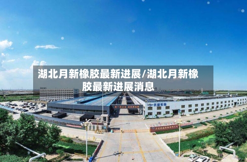 湖北月新橡胶最新进展/湖北月新橡胶最新进展消息