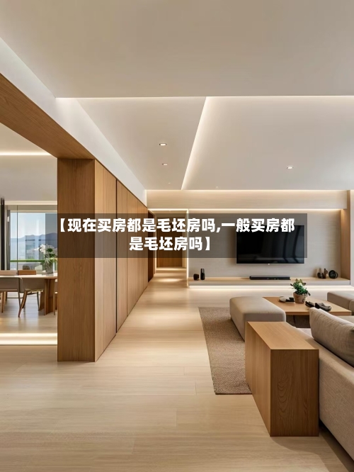 【现在买房都是毛坯房吗,一般买房都是毛坯房吗】