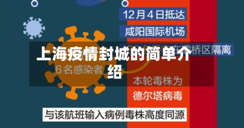 上海疫情封城的简单介绍-第2张图片