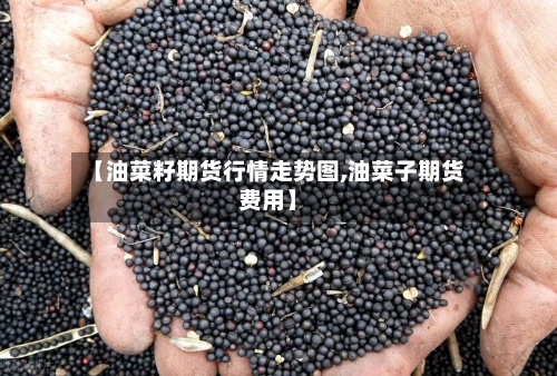 【油菜籽期货行情走势图,油菜子期货费用】